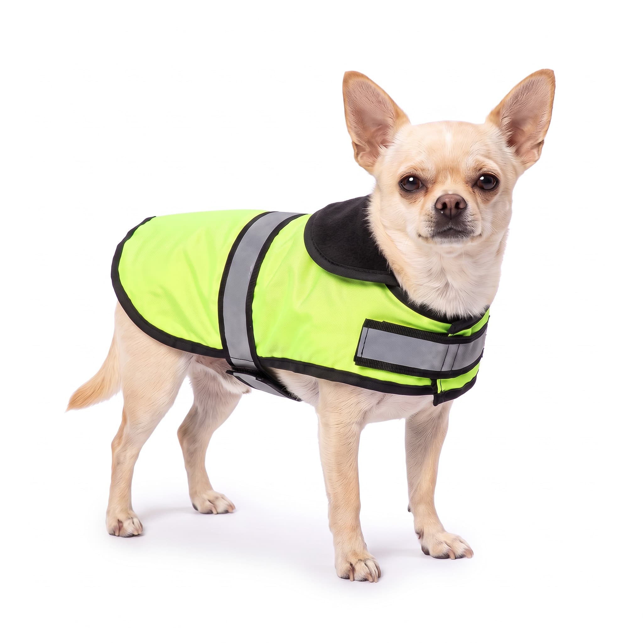 Hondenjas Fluo Geelgroen