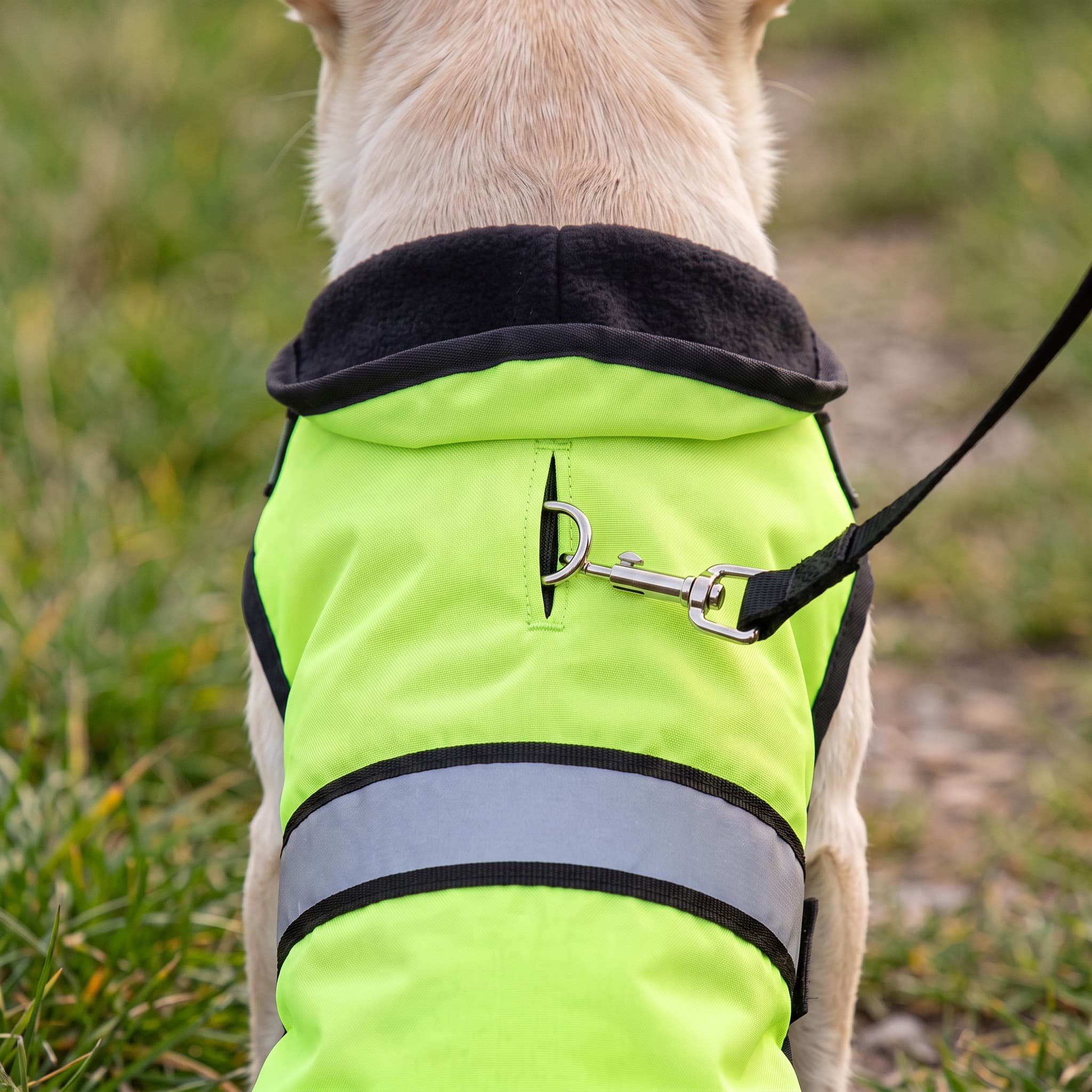 Hondenjas Fluo Geelgroen - XXS - foto 4