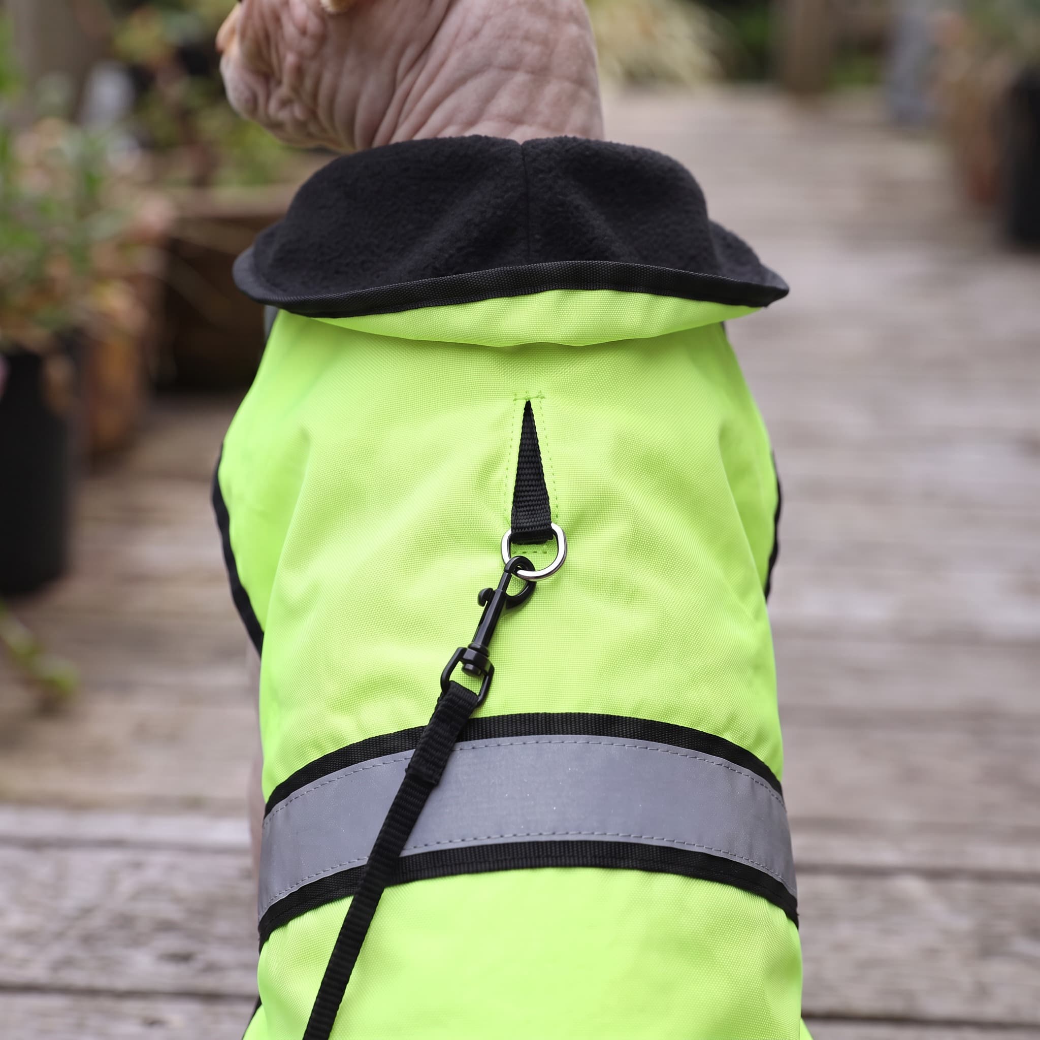Kattenjas Fluo Geelgroen - 25 cm - foto 3