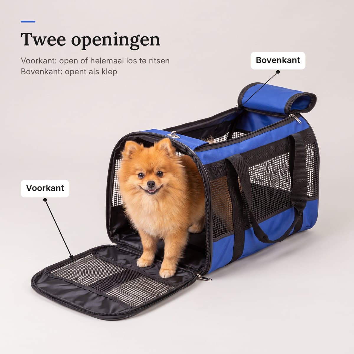 De draagtas met de voorkant open en de bovenklep opzij, met een pomeriaan die eruit stapt