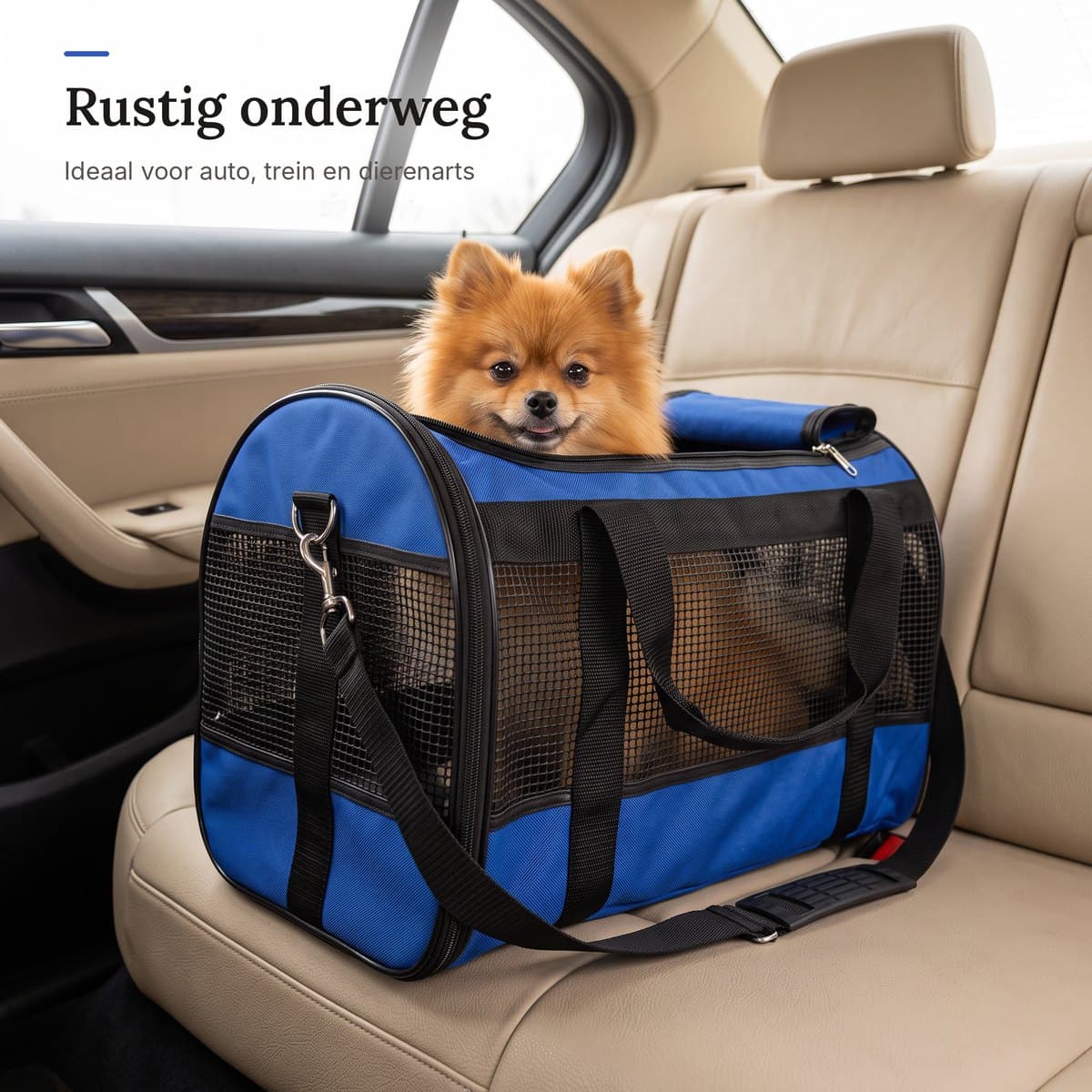 De draagtas met een pomeriaan erin, vastgezet op de achterbank van een auto