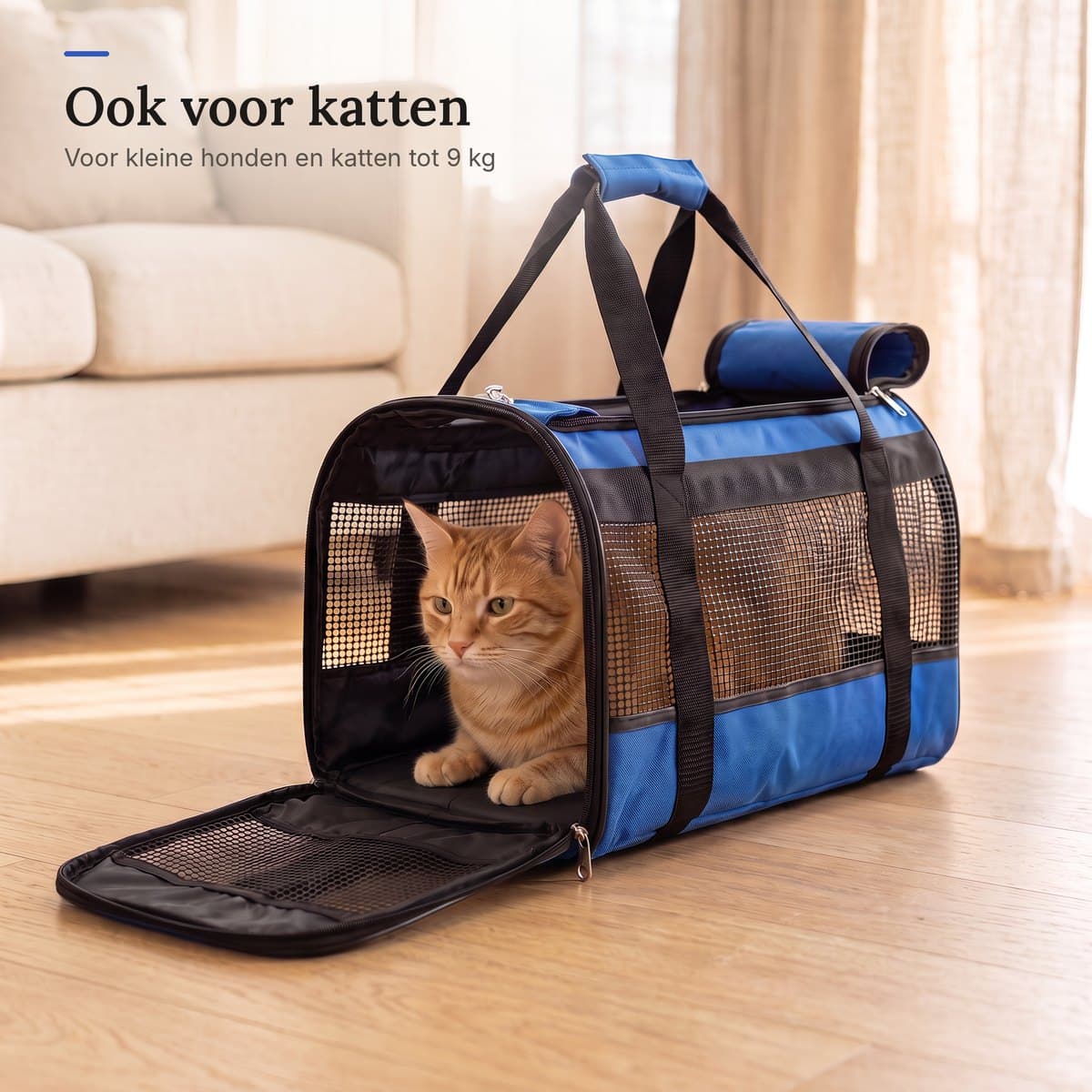 Rode kat die door de open voorkant van de blauwe draagtas naar buiten kijkt