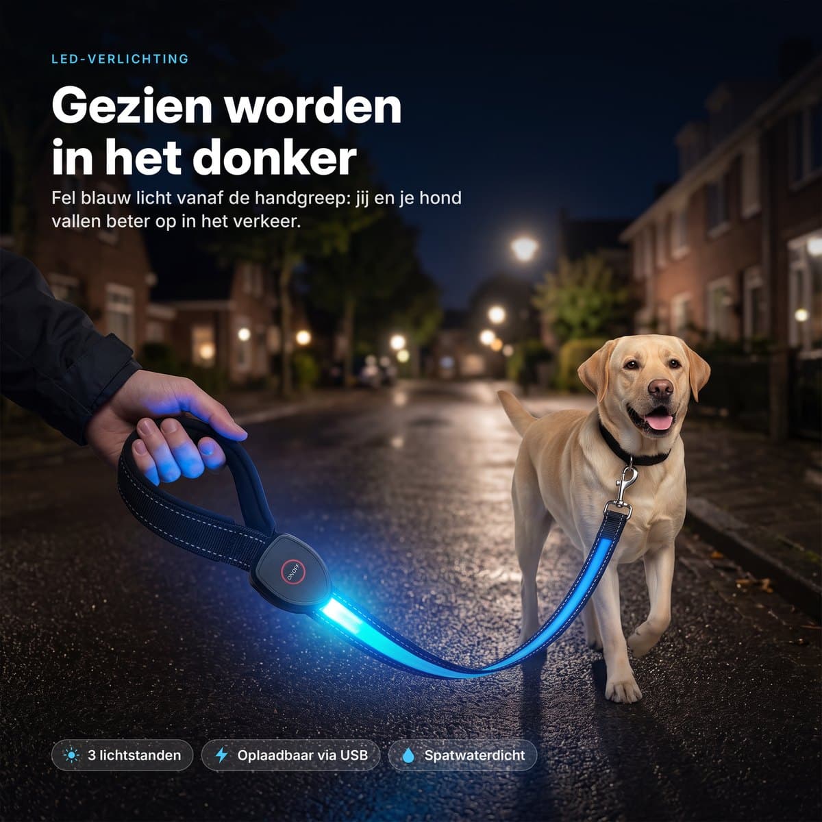 Hand houdt de blauw oplichtende LED-hondenriem vast tijdens een avondwandeling met een labrador