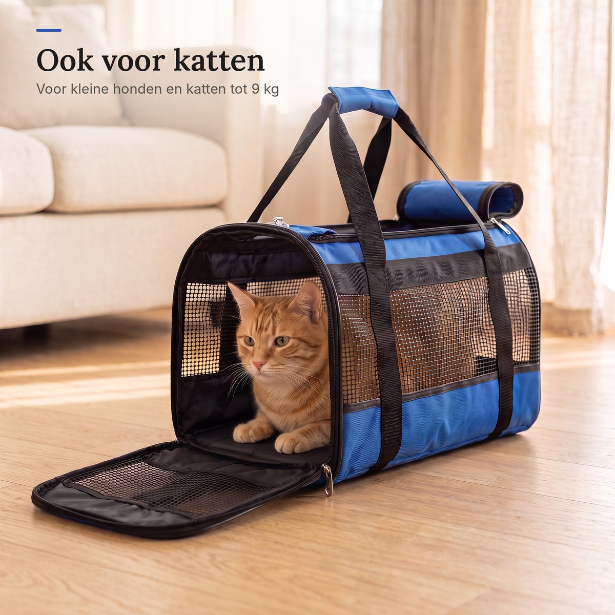 Rode kat kijkt door de open voorkant van een blauwe draagtas naar buiten